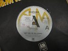 SUZY and the RED STRIPES seaside woman UK A&M DEMO 45 1977 MINT