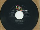 THE HOLLY TWINS   Okeefenokee/Potato Chips   R&B (NM)   RENDEZVOUS