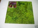 MX ANIMAL COLLECTIVE WATER CURSES VINYL
