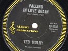 TED MULRY Falling In Love *EASYBEATS / AC/DC ALBERT PRODUCTION 70s SINGLE*
