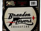 Brandon Flowers 10