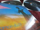AMON DÜÜL    