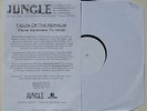 FIELDS OF THE NEPHILIM RARE TEST PRESSING LP 'From Gehenna To Here' no. 7 of 10