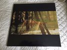 CHILDISH GAMBINO CAMP VINYL LP 180 GRAM DONALD GLOVER OOP MINT