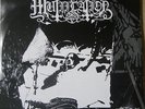 Mütiilation 