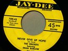 CRICKETS / DEAN BARLOW   Are You Looking. Mid 50s Doo Wop 45 on JAY-DEE.HEAR Mp3