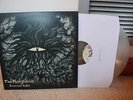 SFU025 THE MONGOLOIDS Assorted Music clear  rejected press /60 nyhc Hardcore sXe