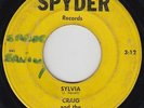 Garage 45 - Craig & The Ethics - Sylvia/Walking The Dog - Spyder - mp3 obscure