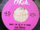Northern Soul - TAN GEERS - Let My Heart And Soul Be Free 45 OKEH 4-7319