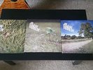 The Dear Hunter Vinyl Records (Act 1, Act 2, and Act 3) Excellent Condition