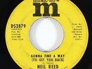 Neil Reed 