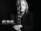 Analog Man [Analog] Joe Walsh LP Record