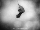 Jesu Opiate Sun Blue Marble Vinyl LP Record godflesh less then 100 made NEW+