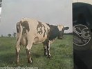 PINK FLOYD - Atom Heart Mother   GATEFOLD VINYL LP STEREO