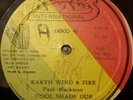 Paul Blackman Earth Wind & Fire Killer Roots 12