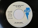 Newcomers, The - Open Up Your Heart / Girl, This Boy Loves You