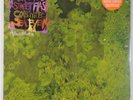 ANIMAL COLLECTIVE: Water Curses 2008 DOMINO Vinyl LP Still Sealed NEW