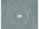 JOSE GONZALEZ Vestiges And Claws LP 10 Track With Pic Inner  Released 02/03/15 E