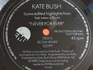 KATE BUSH -Never For Ever- Rare 'Highlights' Promo only Flexi Disc (EMI SFI 562)