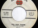 DINO 45 Old Dan Tucker / The Other Side OBSCURE Doo Wop REGALIA w2992