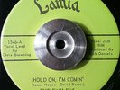 THE EMBLEMS - Hold On I'm Coming On - 45 RARE GARAGE/SOUL FUNK/PSYCH hear