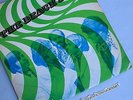 THE BEACH BOYS OBSCURE HOLLAND VINYL LP ORIGINAL 60'S PRESS RARE PSYCH COVER