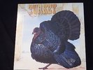 Wild Turkey - Turkey