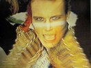 ADAM & The ANTS. 1980 LP 'Kings Of The Wild Frontier' Sleeve Hand SIGNED by ADAM