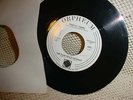 Plum Beach Incident 45 ORPHEUM 'Summer Love' 60s? rock