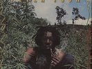 Peter Tosh Legalize It vinyl LP album record UK V2061 VIRGIN 1976