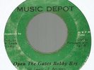 DANNY WELL PLEASED - OPEN THE GATES BOBBY BOY / ZION GATES        7