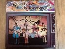 THE BEATLES - STRAWBERRY FIELDS FOREVER - RARE 12