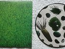 PETER GABRIEL-A QUIET MOMENT/SOLSBURY HILL-7” PICTURE DISC W/ PIC SLEEVE-LIVE