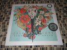 SEASONS CHANGE PLEASE DON'T LEAVE NO SLEEP RECORDS  COKE BOTTLE SWIRL  SEALED