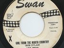 Rare Rock & Roll 45 - Link Wray - Girl From The North Country- Swan #4232- Promo