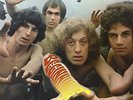 Beginnings [VINYL] Ambrose Slade Vinyl