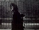 After The Gold Rush - Neil Young (2009, Vinyl NEW)