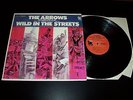 THE ARROWS -  Wild in the streets  LP  Davie Allan,  Psych,  Surf