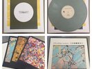 WILD NOTHING RARE BLUE VINYL LP NOCTURNE Captured Tracks (NOT Mac Demarco DIIV