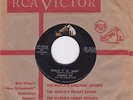 Rockabilly 45 Frankie Dee w The Carter Rays 