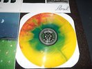 Title Fight Floral Green First Press /500 Balance And Composure Tigers Jaw