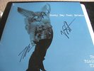 Sunny Day Real Estate The Rising Tide 2000 SIGNED COPY Emo Green Vinyl 33 rpm Lp