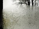 BON IVER-FOR EMMA,FOREVER AGO -VINYL LP JAGJAGUWAR (CARGO RECORDS) NEW