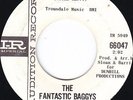 Fantastic Baggys 45 7
