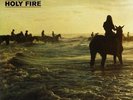Holy Fire - Foals (2013, Vinyl New)