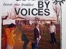 Guided By Voices Forever Since Breakfast RED VINYL LP Record robert pollard NEW+