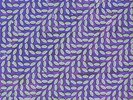 ANIMAL COLLECTIVE - MERRIWEATHER POST PAVILION NEW VINYL