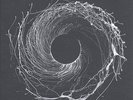 DAWN OF MIDI-DYSNOMIA-VINYL LP2 ERASED TAP NEW