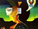 NICK DRAKE - PINK MOON - NEW VINYL LP -  AUTHENTIC REPRODUCTION OF 1972 ALBUM