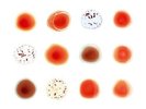 Peter Gabriel: Scratch My Back / And I'll Scratch Yours (2-LPs) Limited Edition
